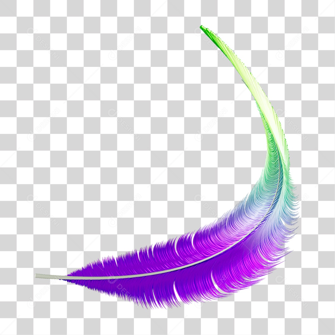 Pena Decoração Enfeite de Carnaval PNG Transparente