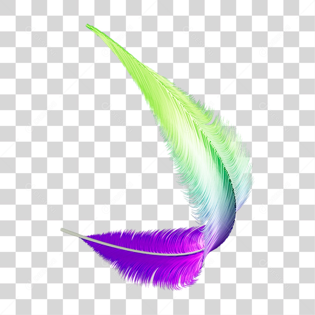 Pena Decoração Enfeite de Carnaval PNG Transparente