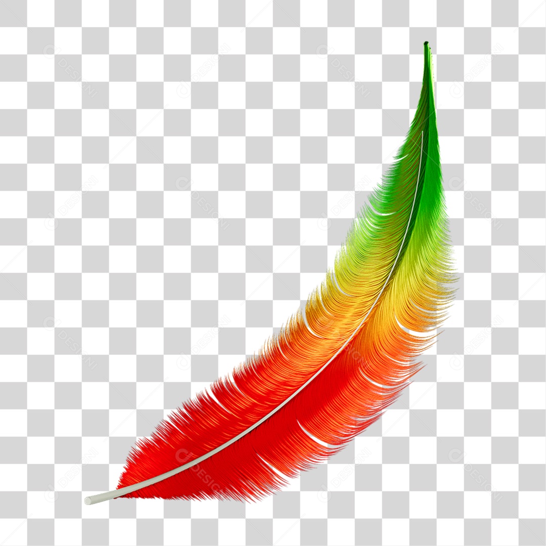 Pena Decoração Enfeite de Carnaval PNG Transparente