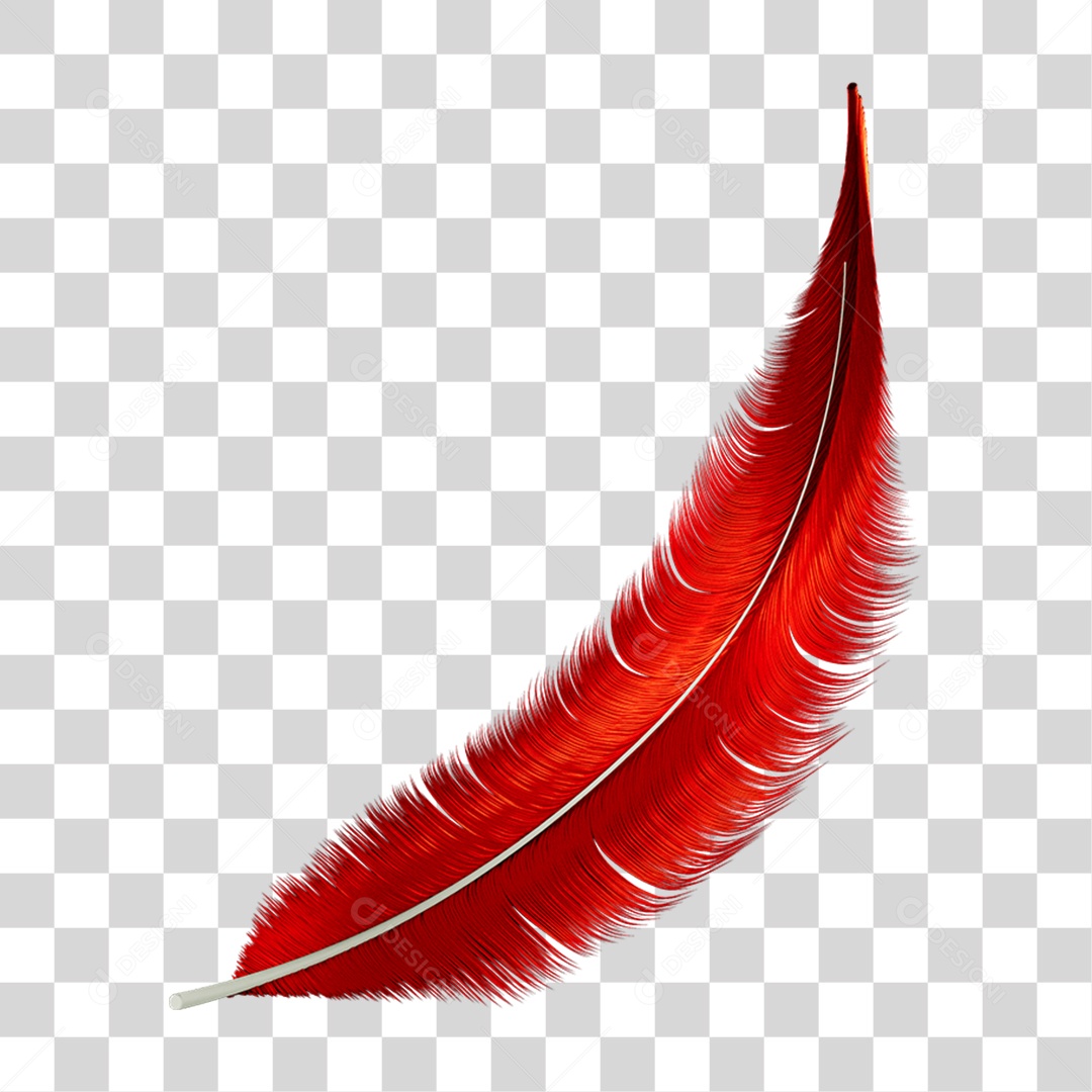 Pena Decoração Enfeite de Carnaval PNG Transparente