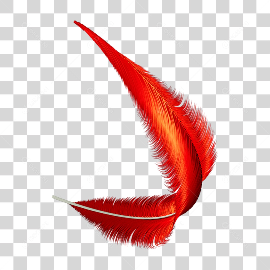 Pena Decoração Enfeite de Carnaval PNG Transparente