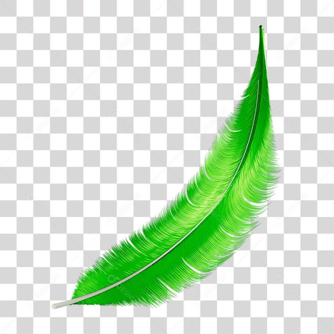 Pena Decoração Enfeite de Carnaval PNG Transparente