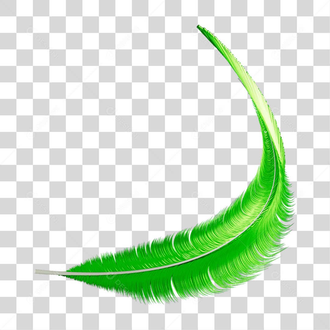 Pena Decoração Enfeite de Carnaval PNG Transparente