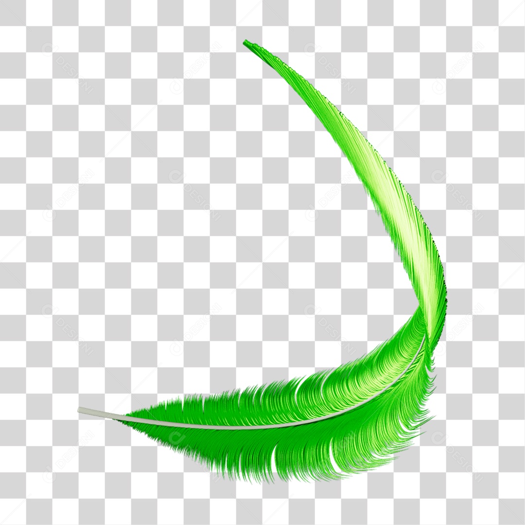 Pena Decoração Enfeite de Carnaval PNG Transparente