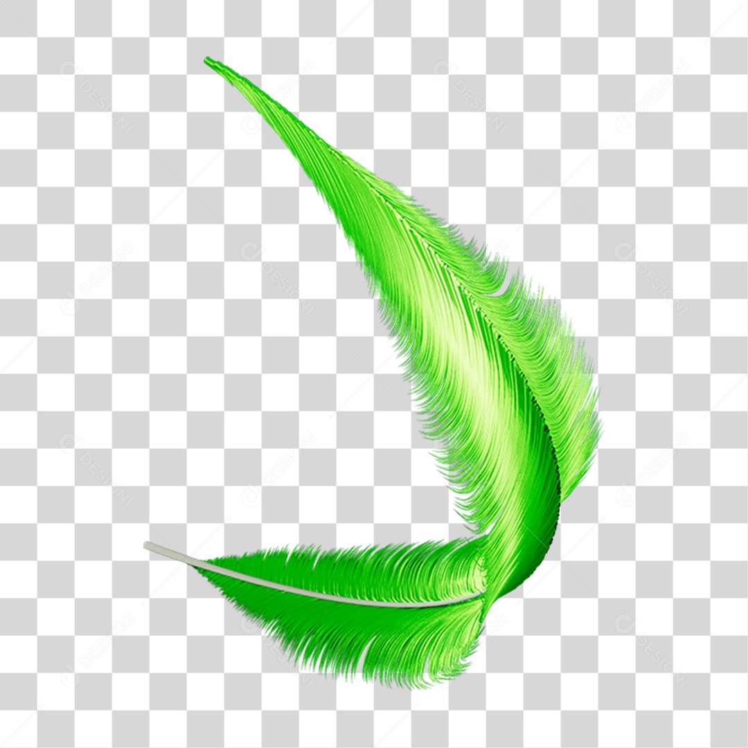 Pena Decoração Enfeite de Carnaval PNG Transparente