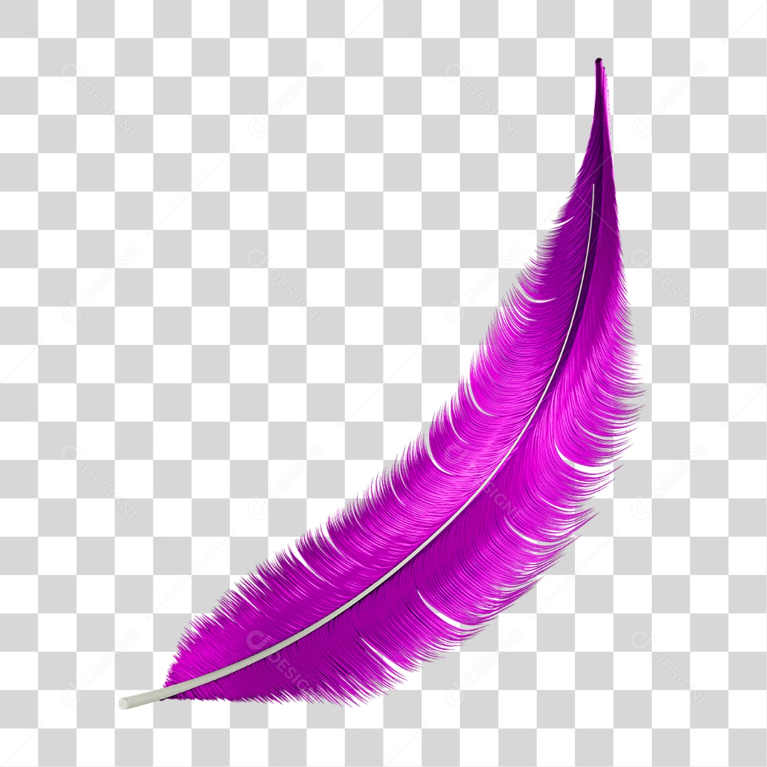 Pena Decoração Enfeite de Carnaval PNG Transparente