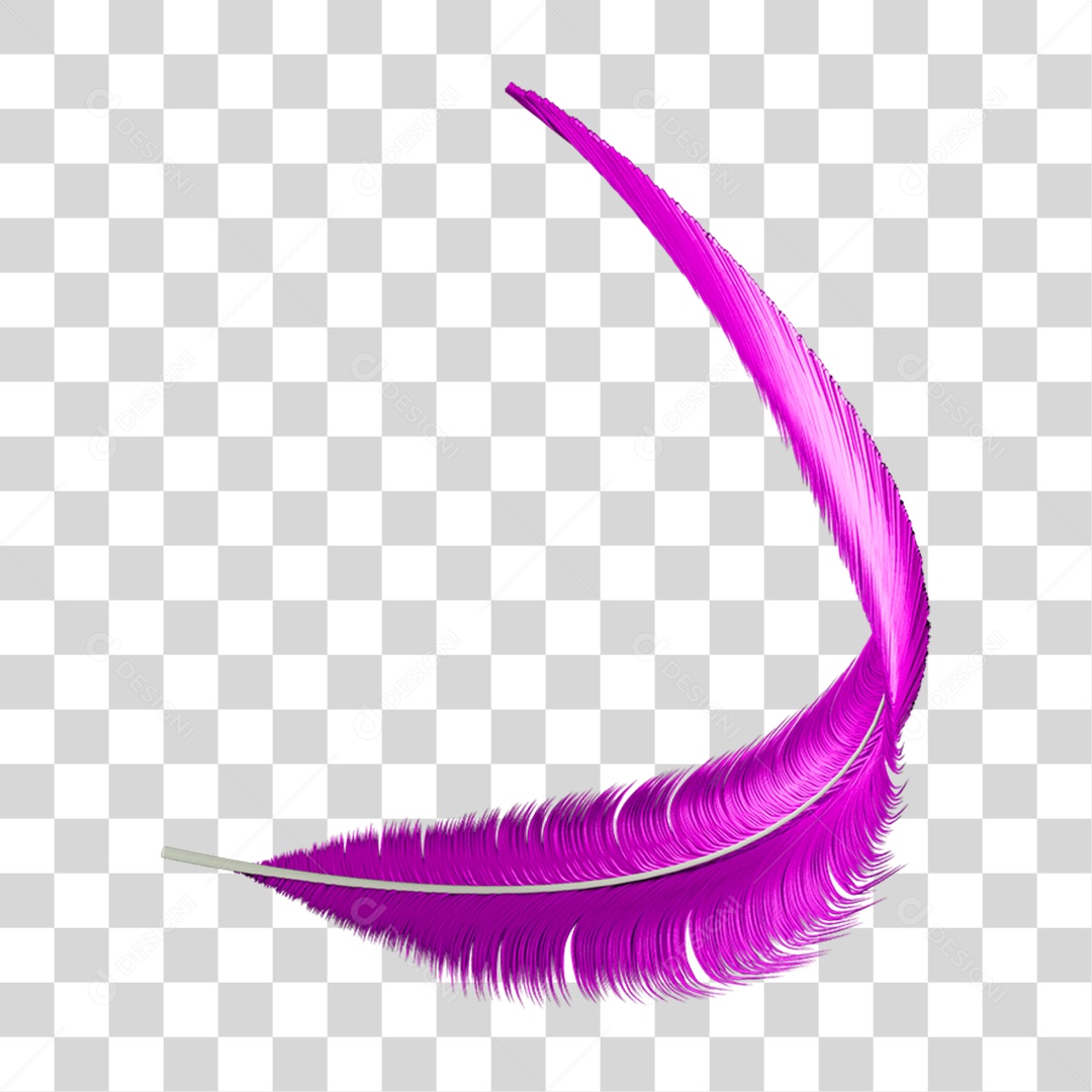 Pena Decoração Enfeite de Carnaval PNG Transparente