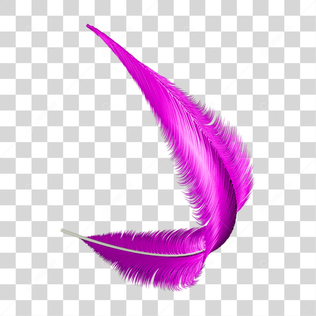 Pena Decoração Enfeite de Carnaval PNG Transparente