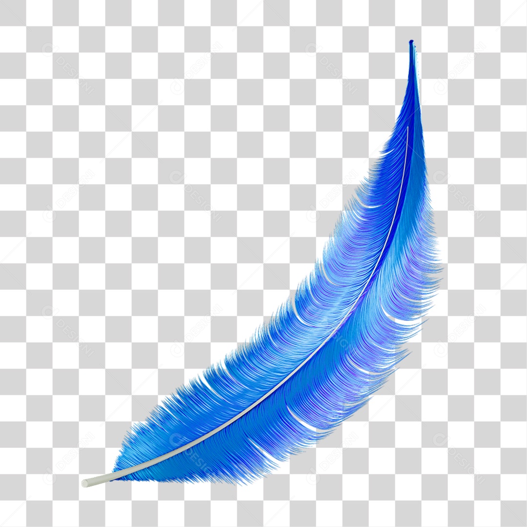 PNG Carnival Embellishment Decoration Transparent