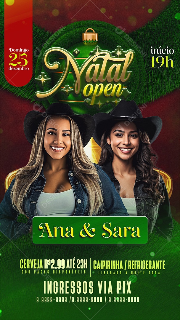 Story Flyer Shows de Natal Open Social Media PSD Editável