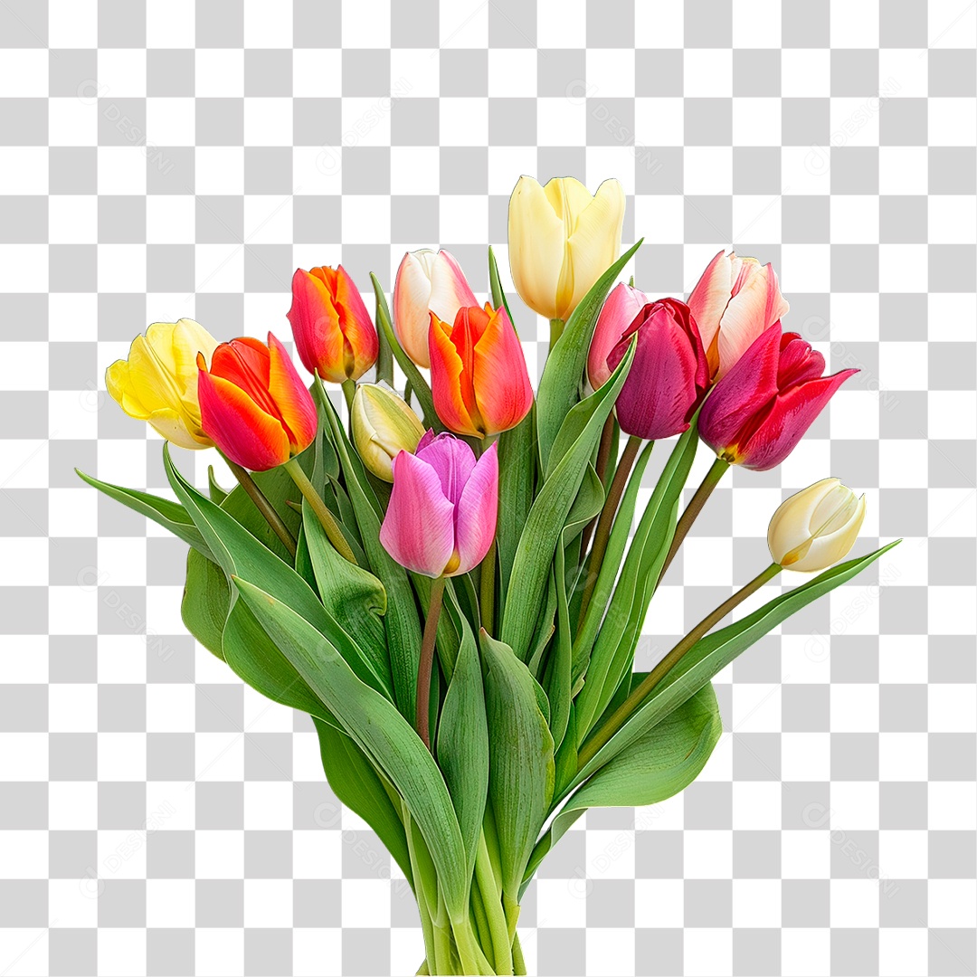 Flores Colorida PNG Transparente