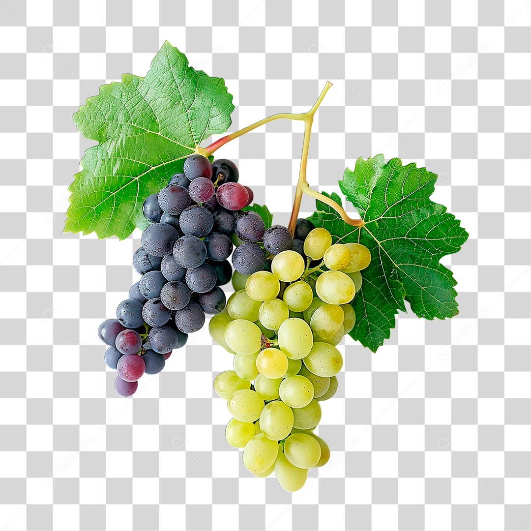 Uvas PNG Transparente