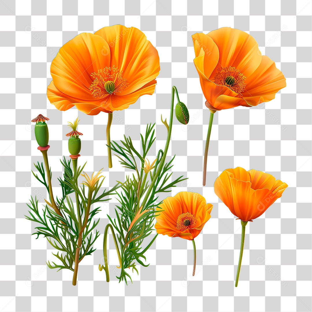 Flores PNG Transparente