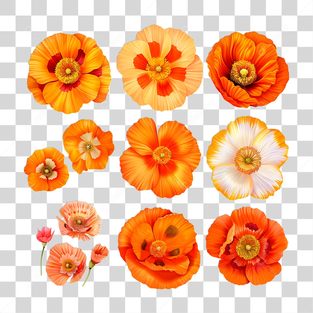 Flores PNG Transparente