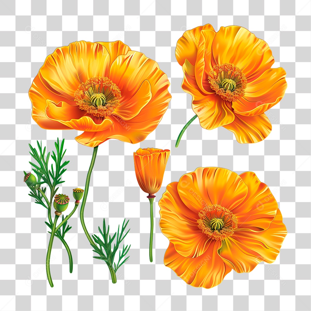 Flores PNG Transparente