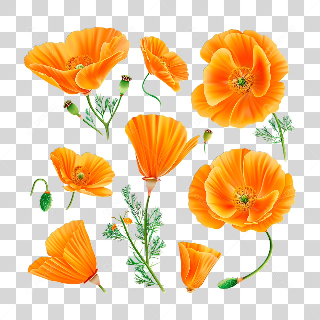 Flores PNG Transparente