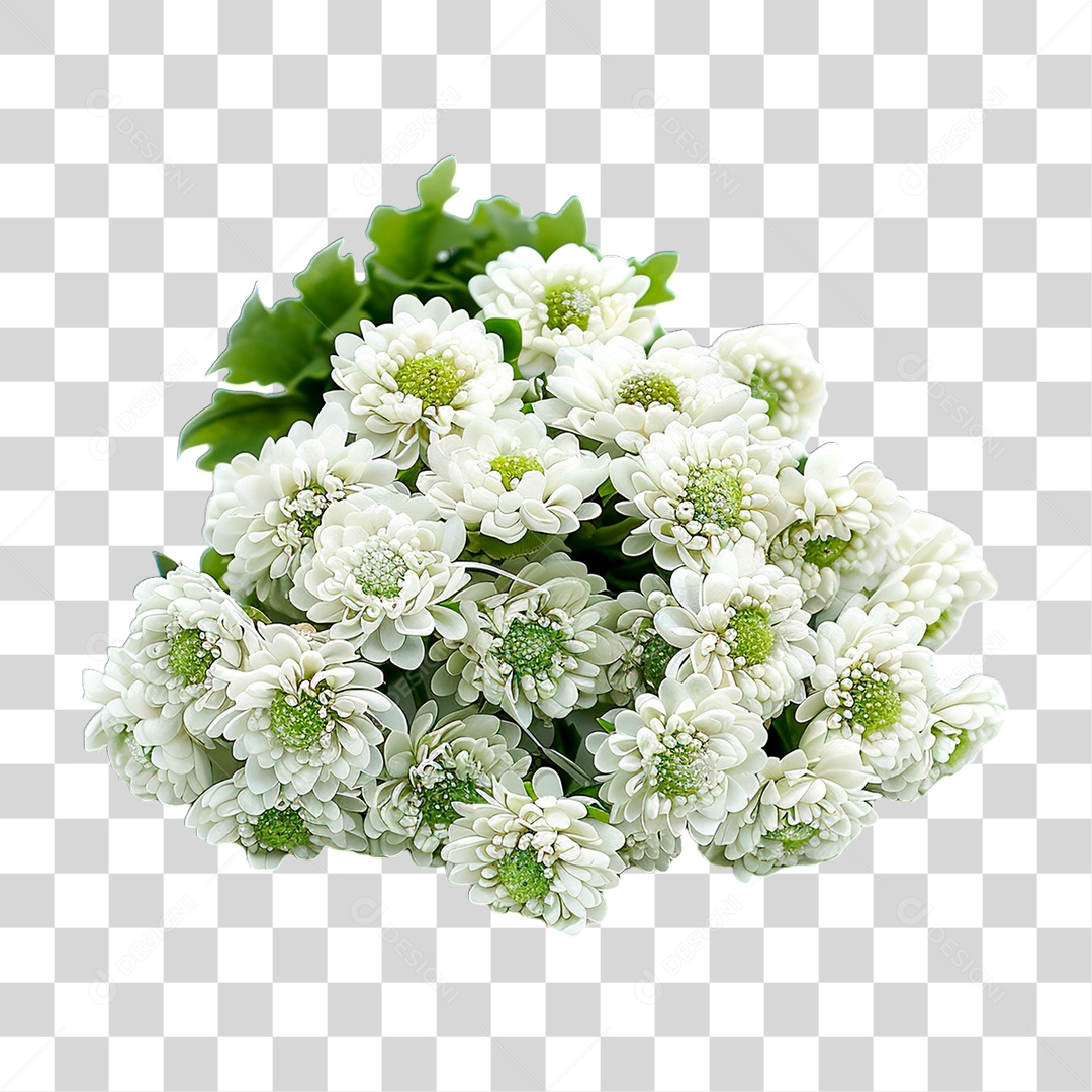 Flores PNG Transparente