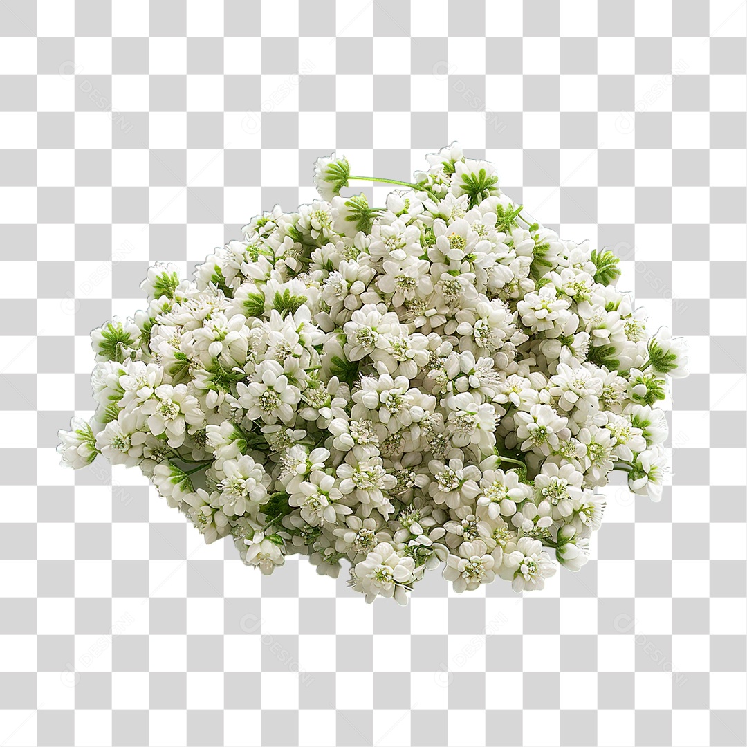 Flores PNG Transparente