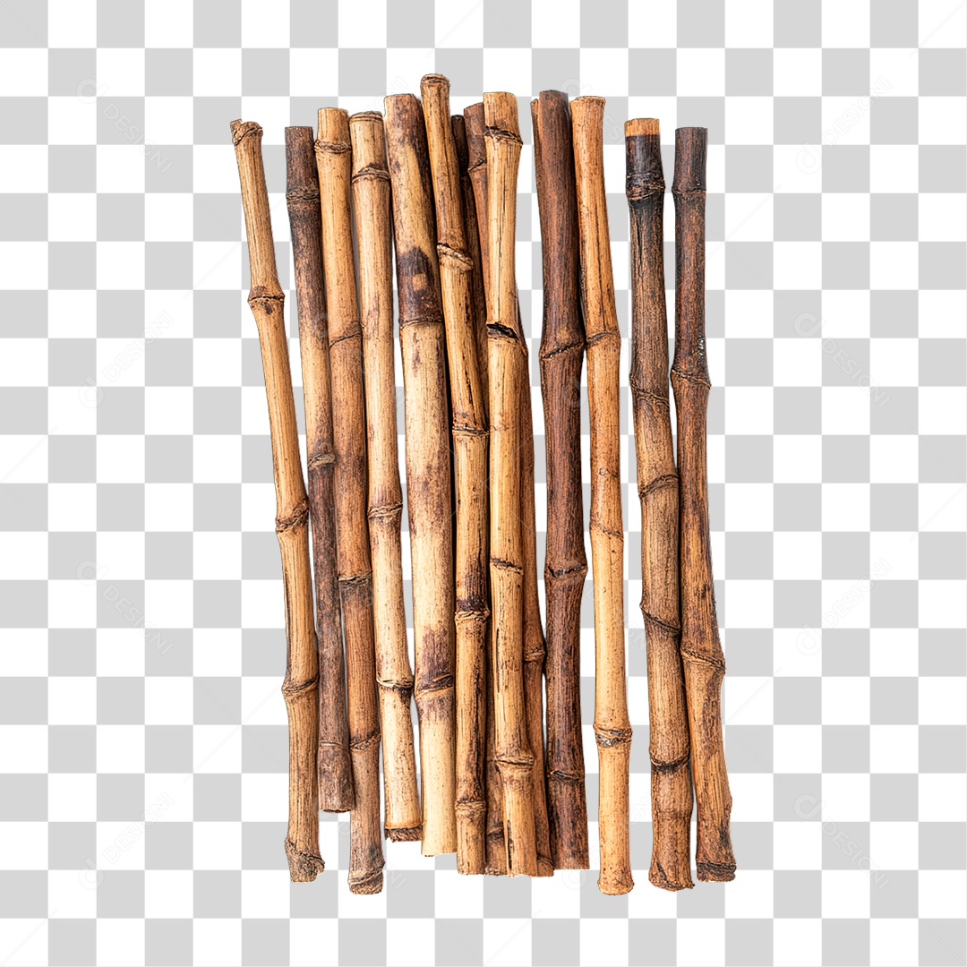Bambus PNG Transparente