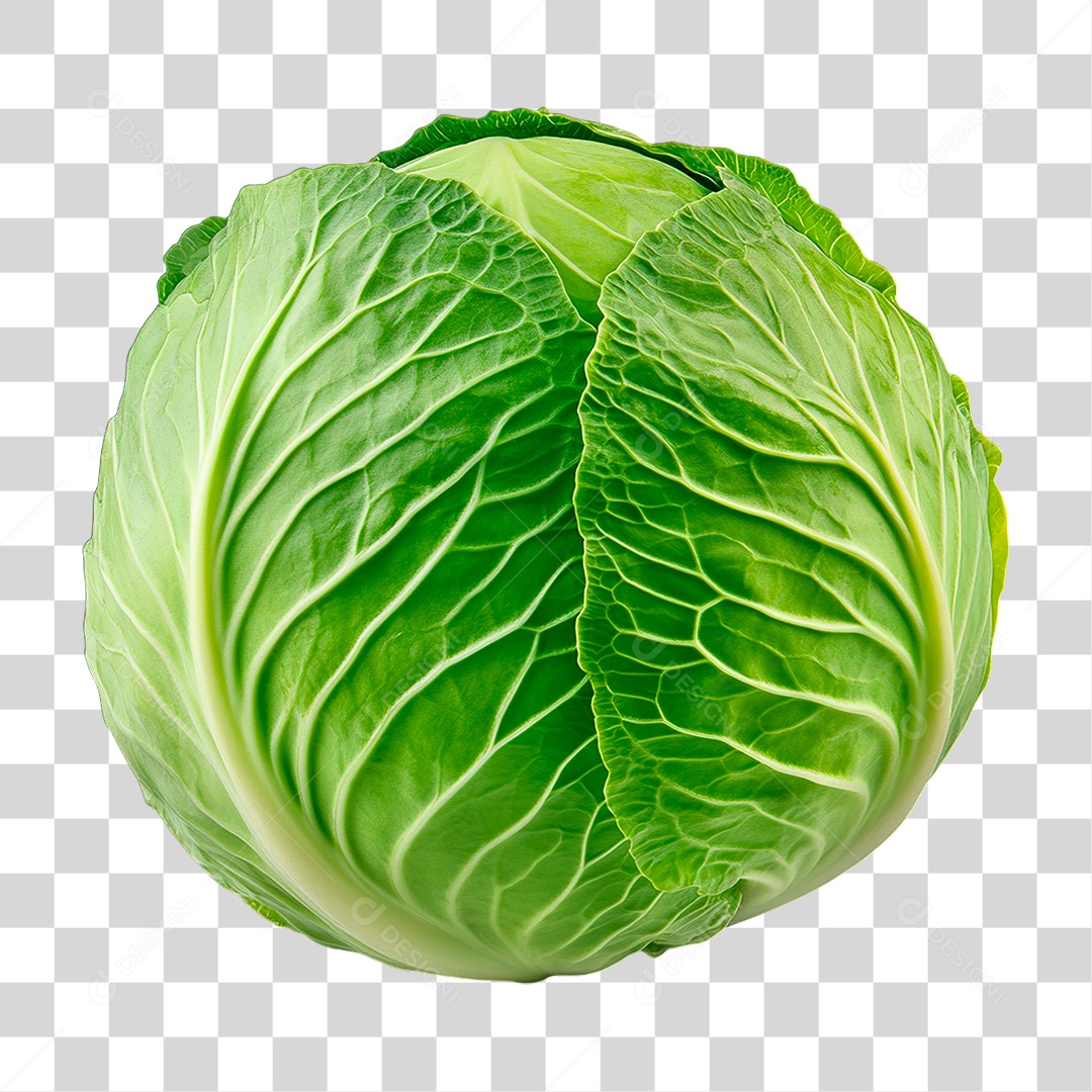 Repolho Verde PNG Transparente