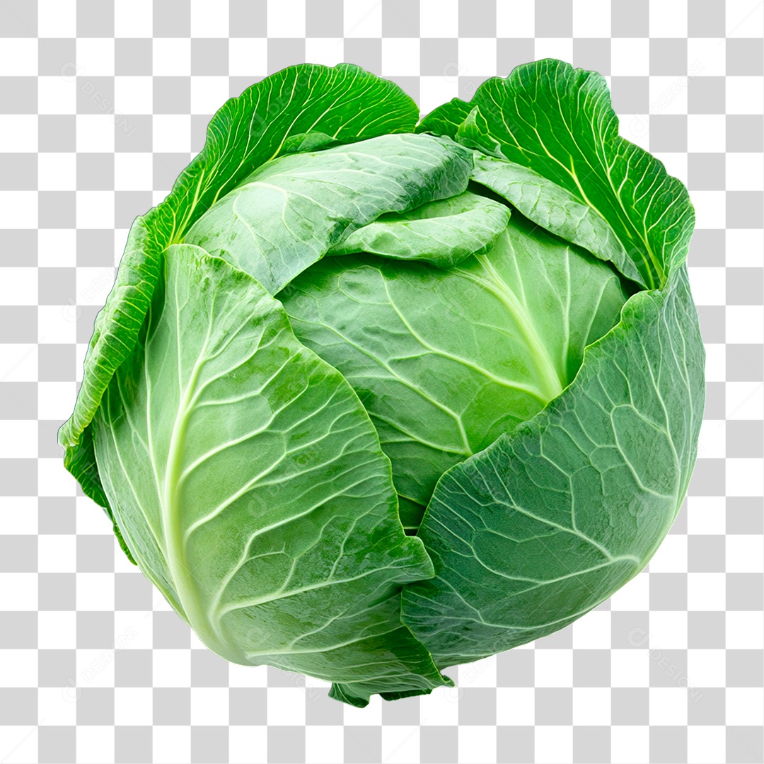 Repolho Verde PNG Transparente