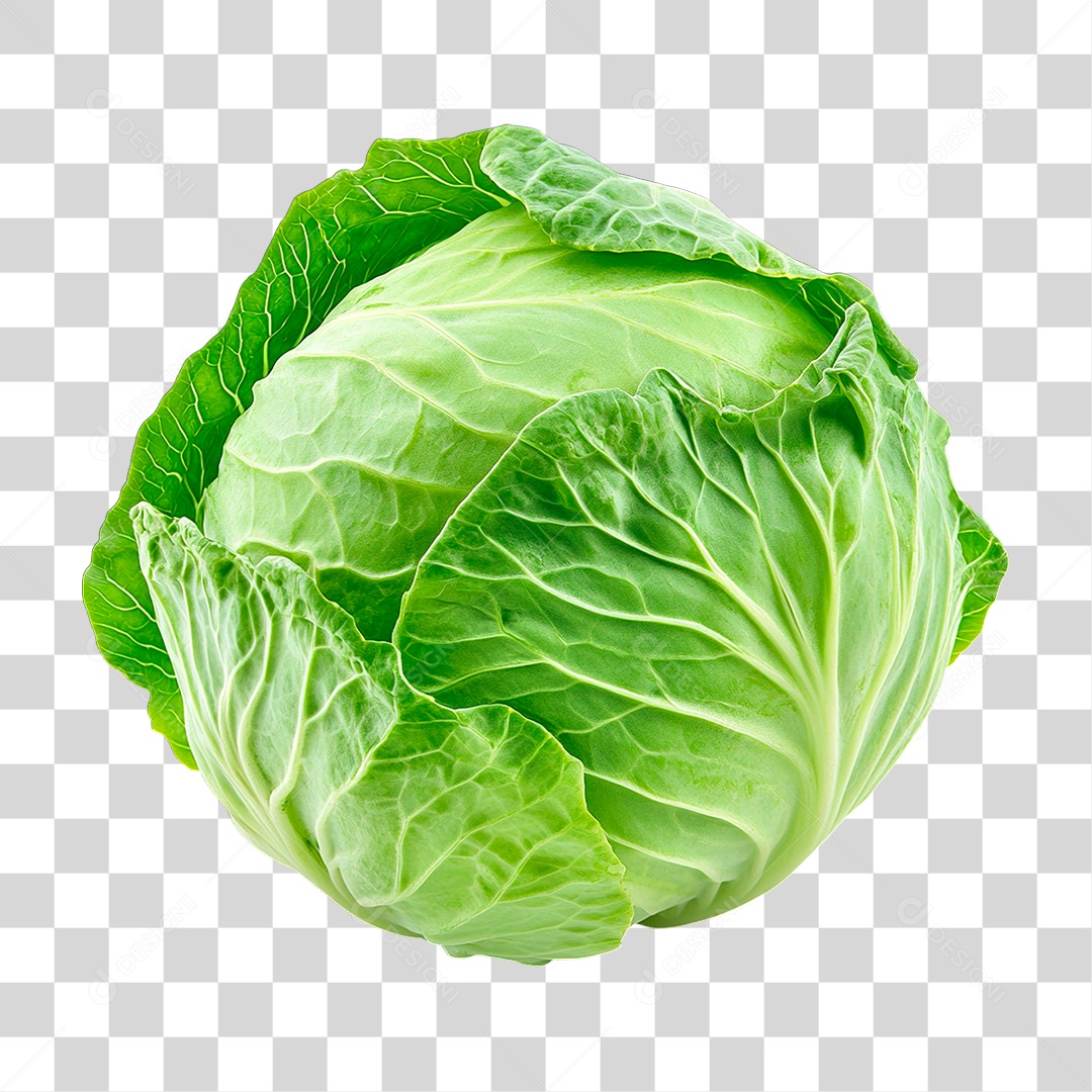 Repolho Verde PNG Transparente
