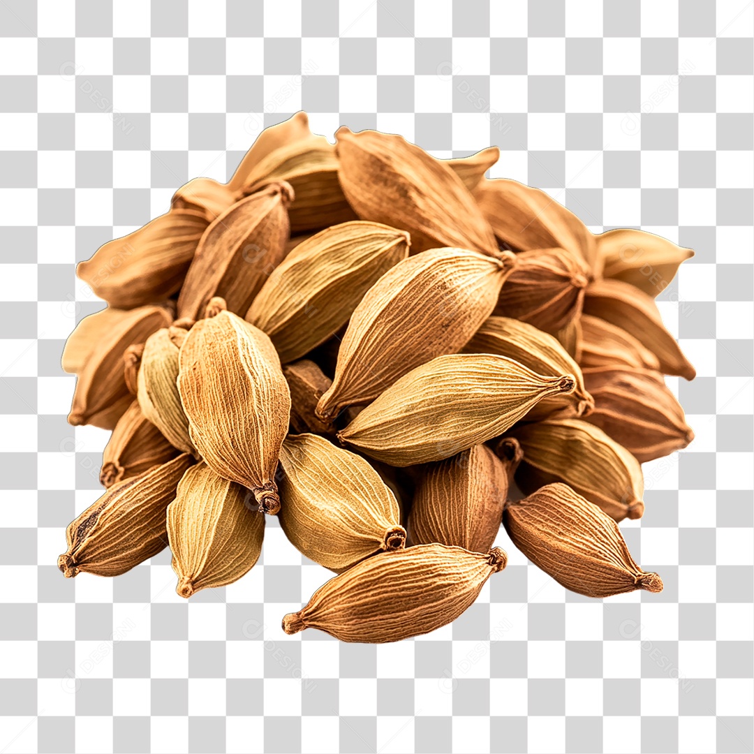 Cardamomo PNG Transparente