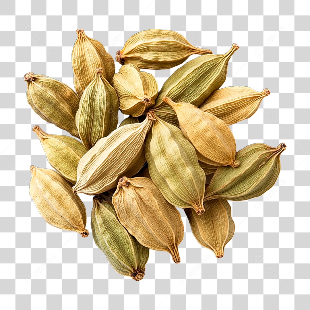 Cardamomo PNG Transparente