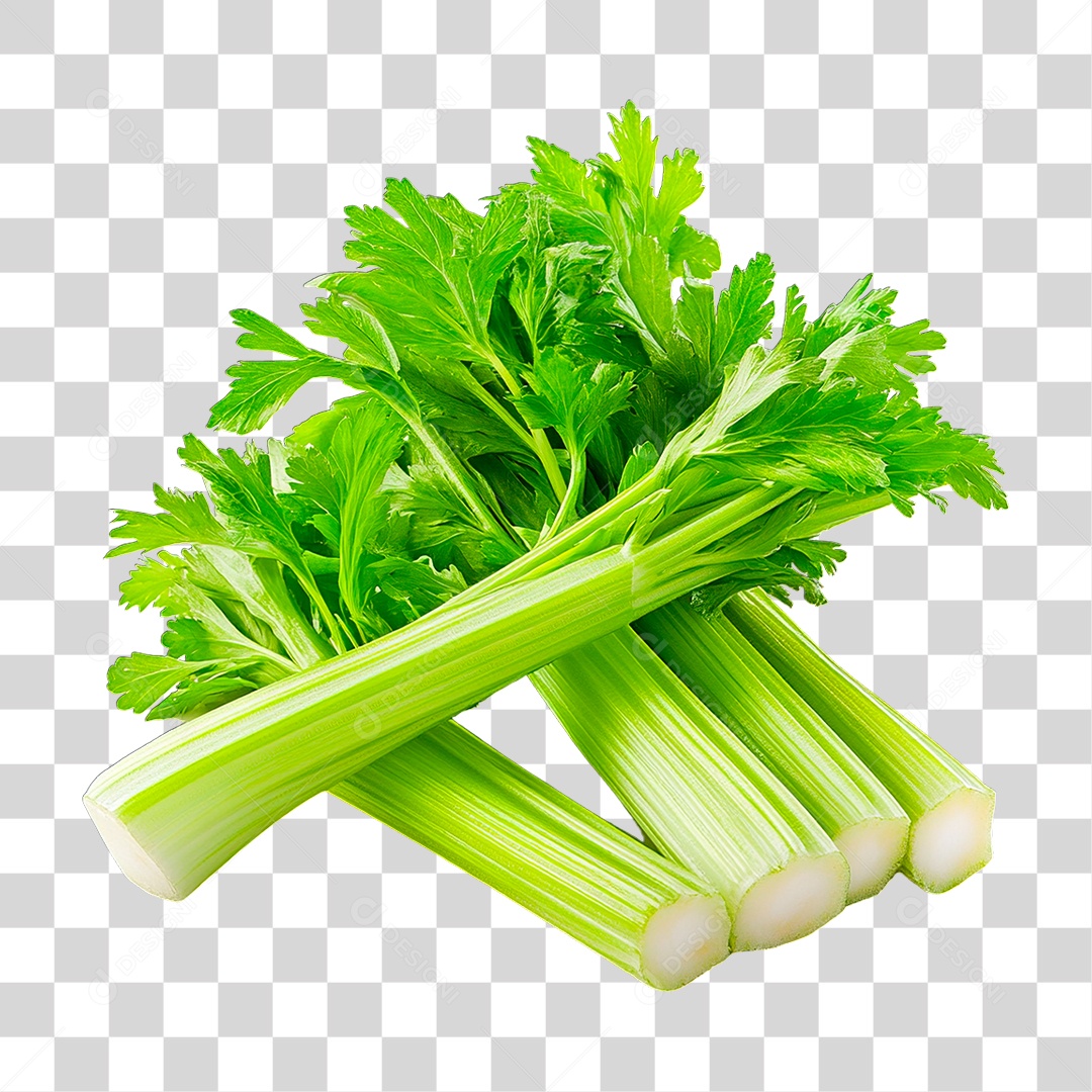 Salsa PNG Transparente