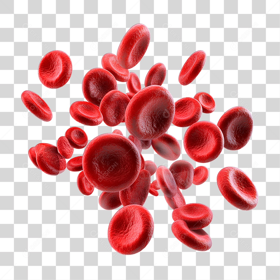 Células PNG Transparente