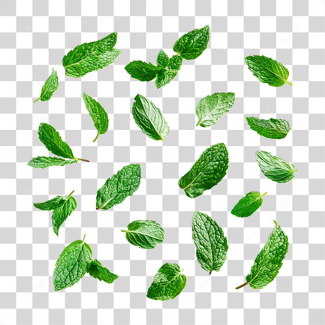 Hortelã PNG Transparente