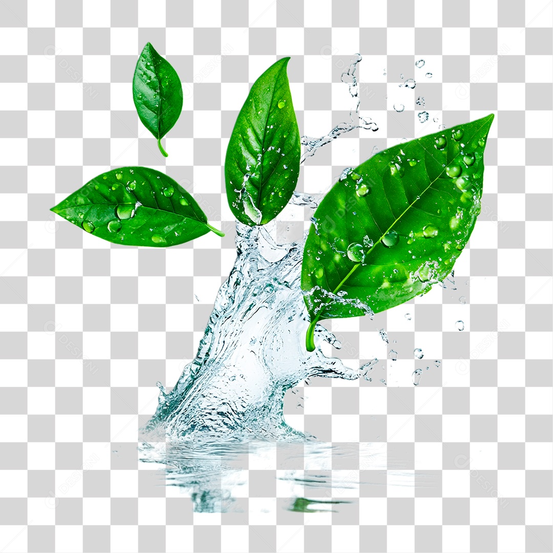 Folha Verde PNG Transparente