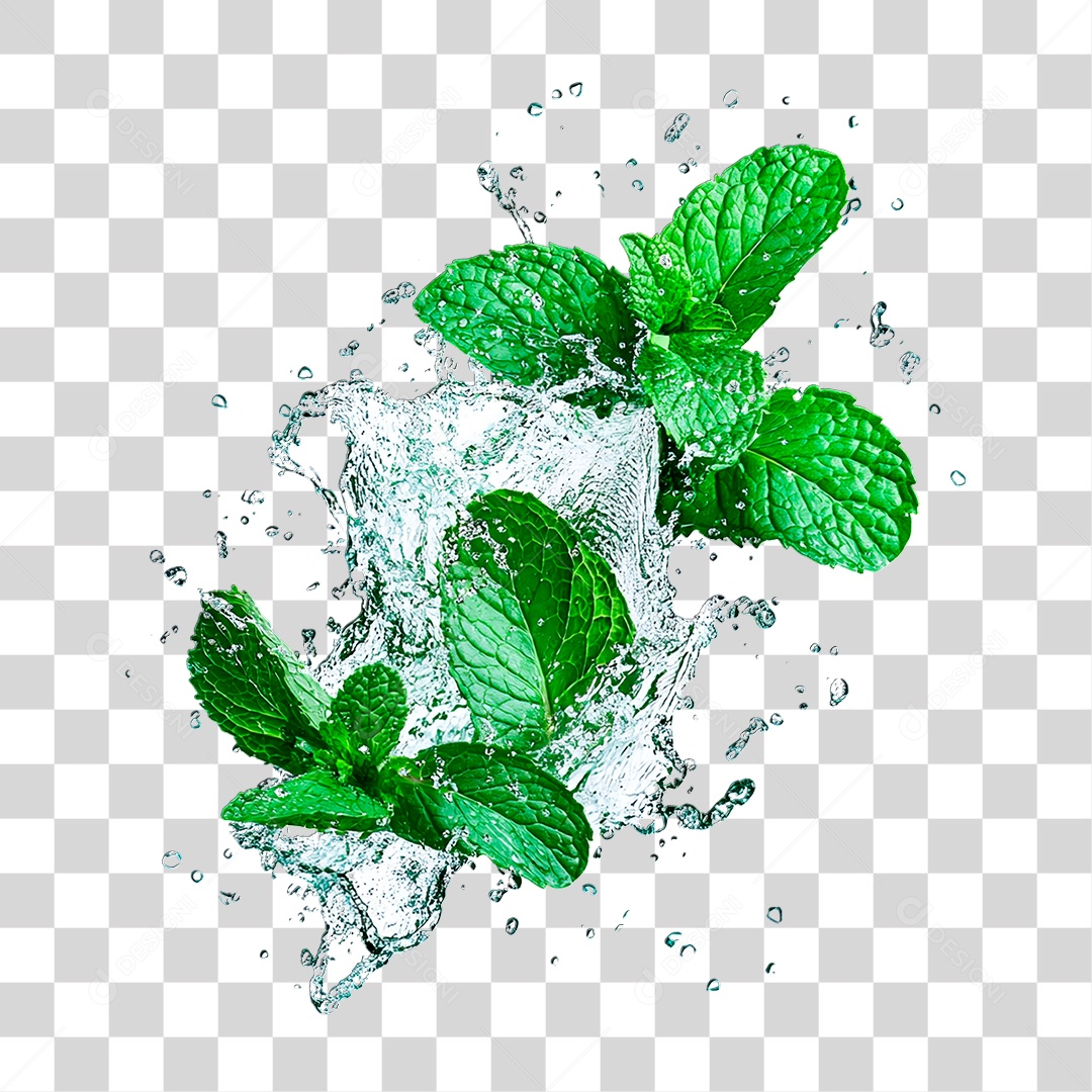 Hortelã PNG Transparente