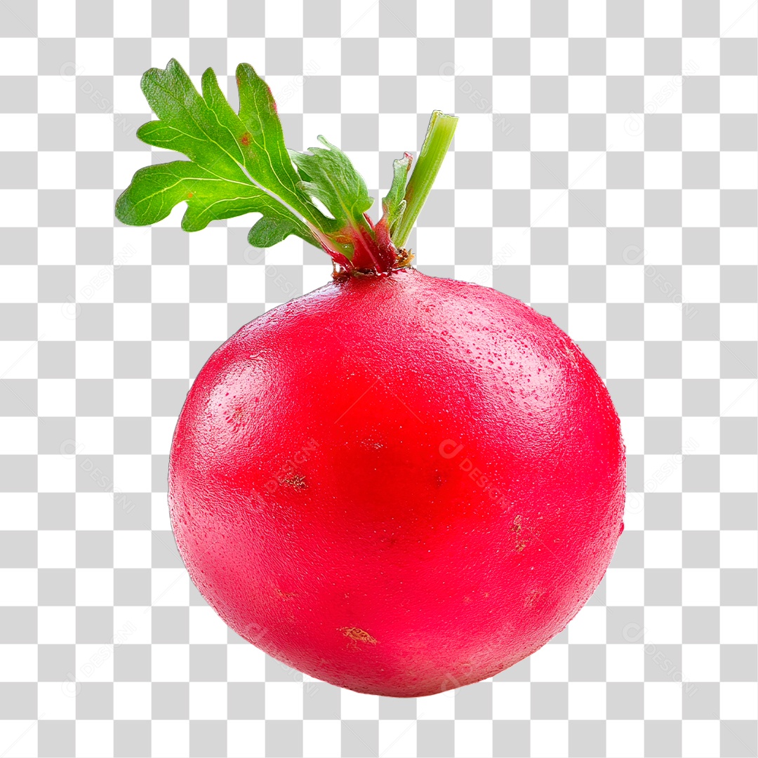 Rabanete PNG Transparente