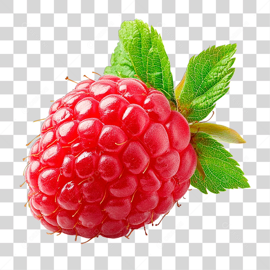 Framboesa PNG Transparente