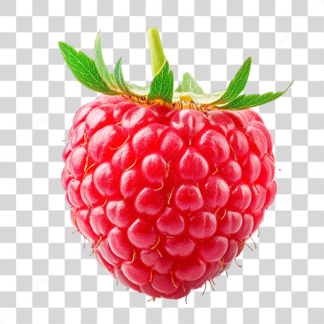 Framboesa PNG Transparente