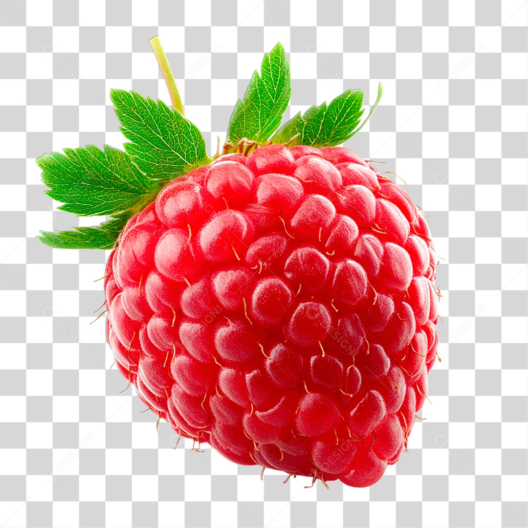Framboesa PNG Transparente
