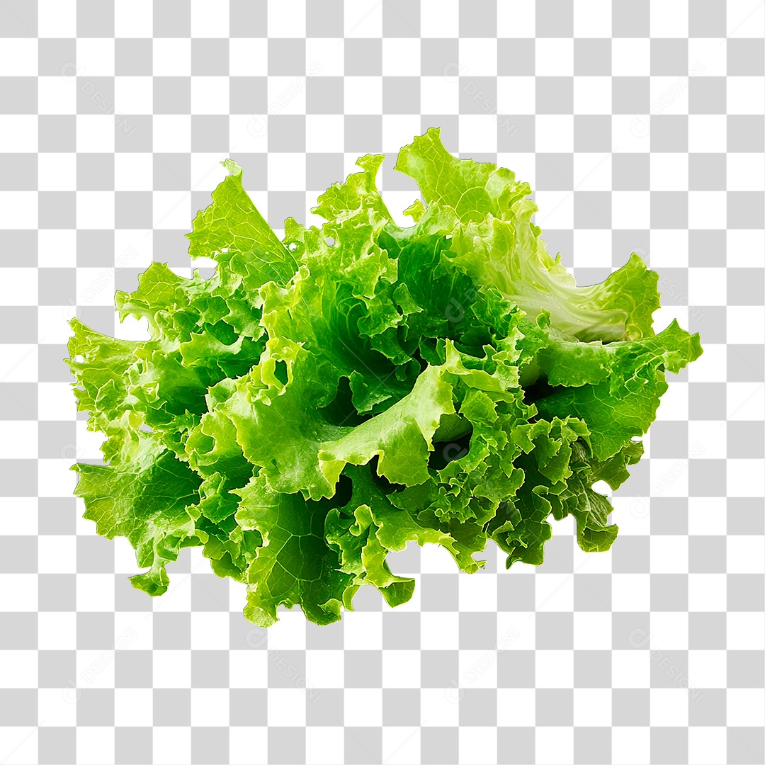 Alface PNG Transparente