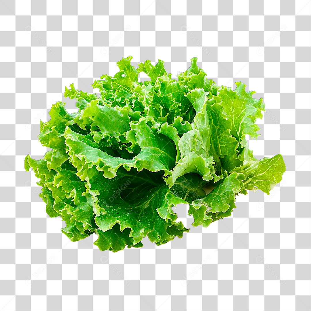 Alface PNG Transparente