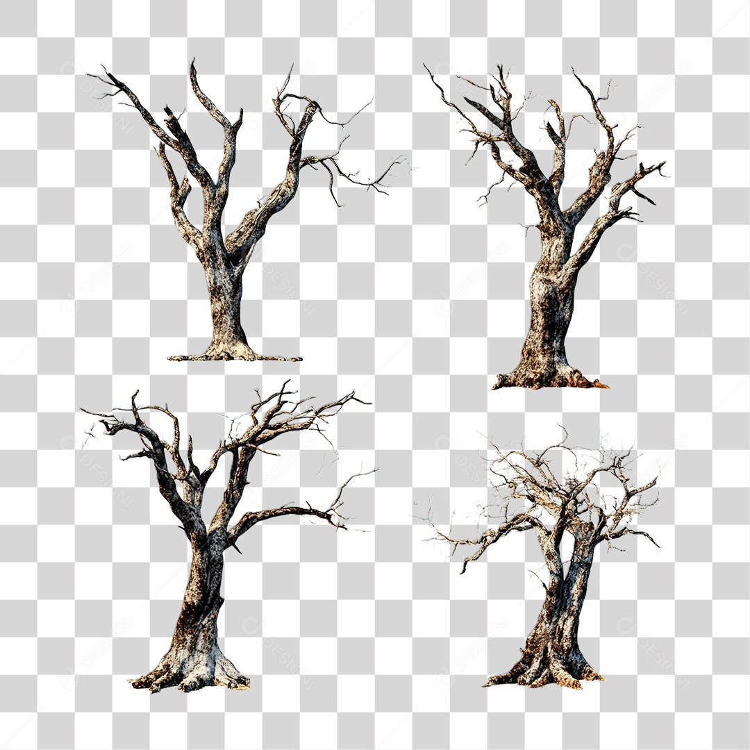 Árvore Seca PNG Transparente