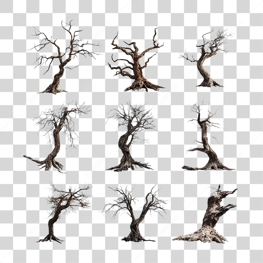 Árvore Seca PNG Transparente