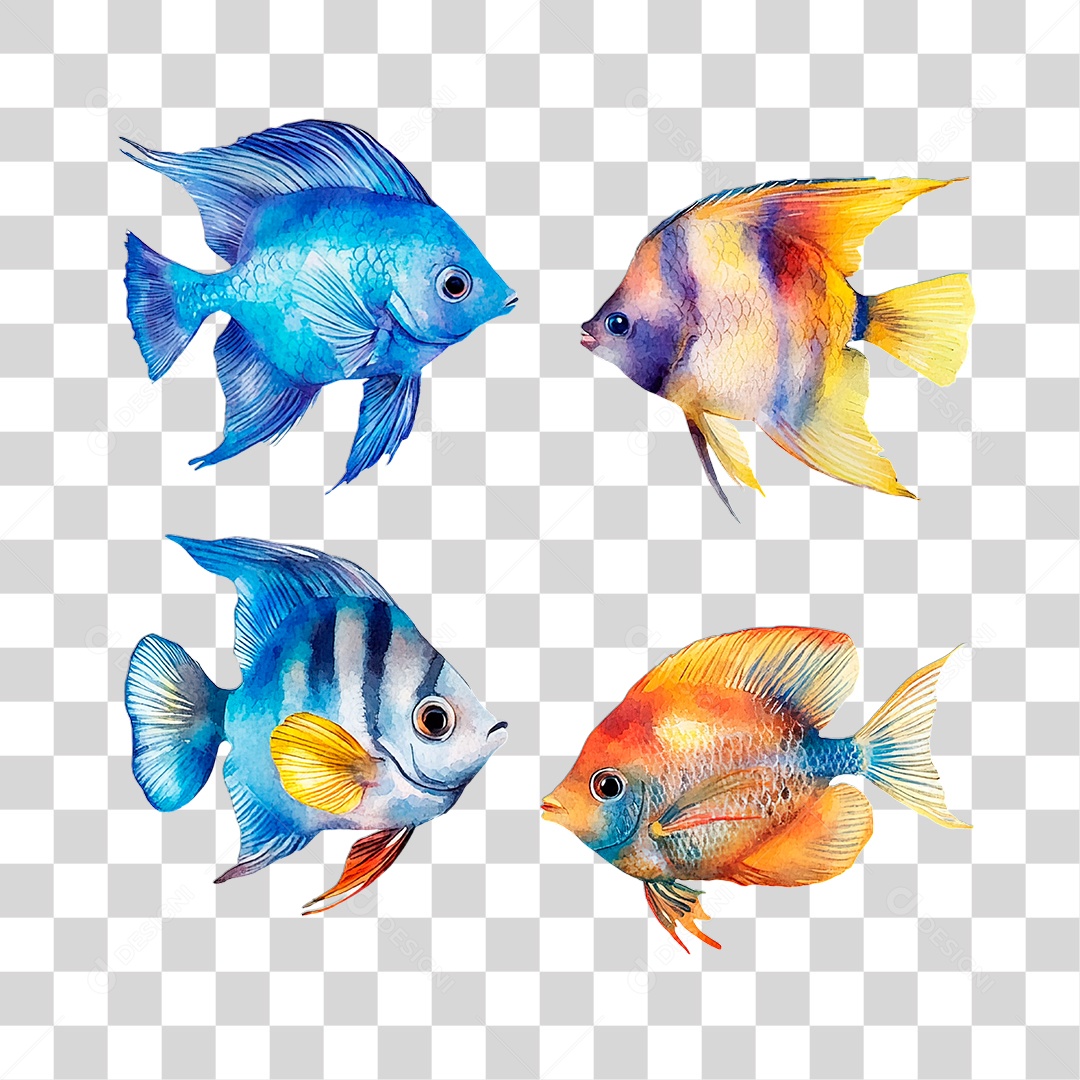 Peixe PNG Transparente