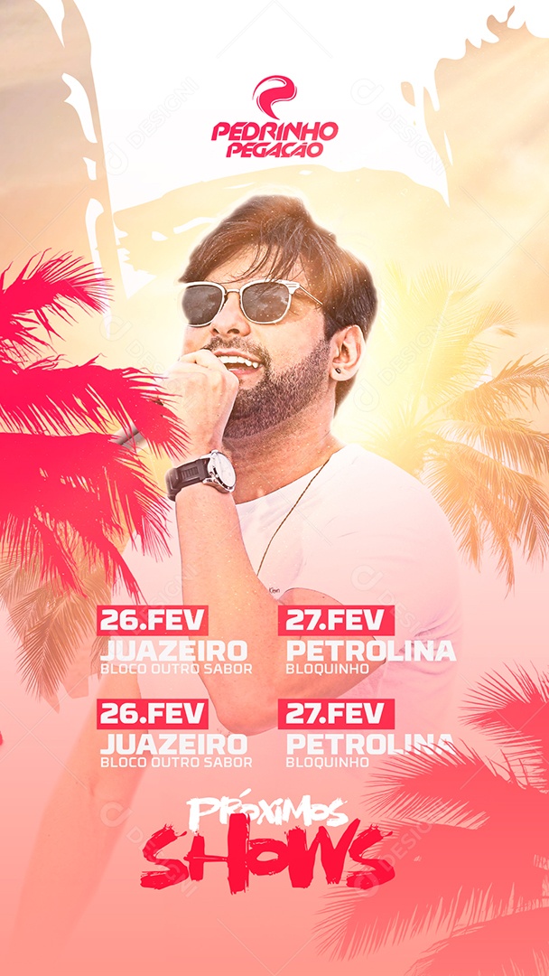 Story Flyer Agenda Show Pedrinho Pegação Social Media PSD Editável