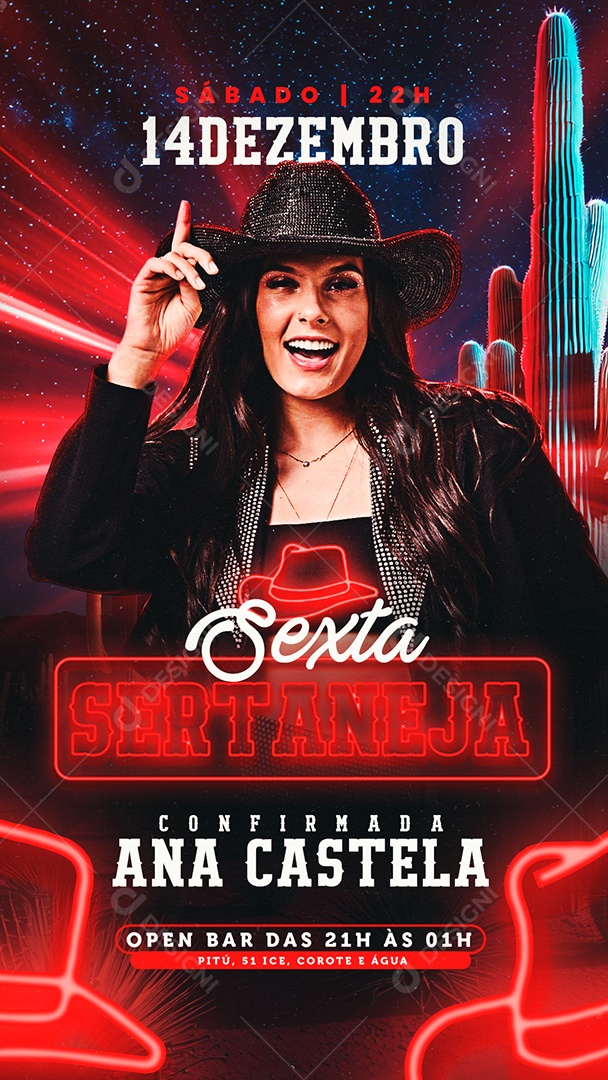 Story Flyer Agenda Show Ana Castela Social Media PSD Editável