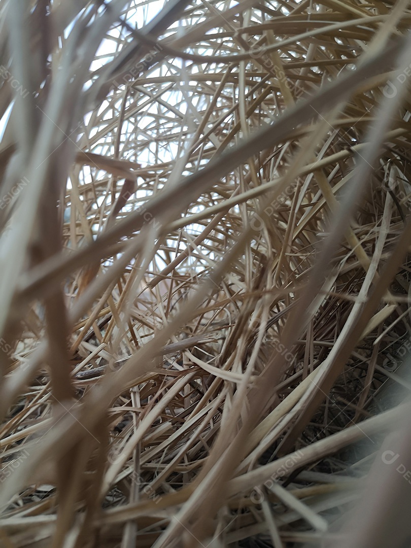 Fios emaranhados da natureza de um fardo de feno