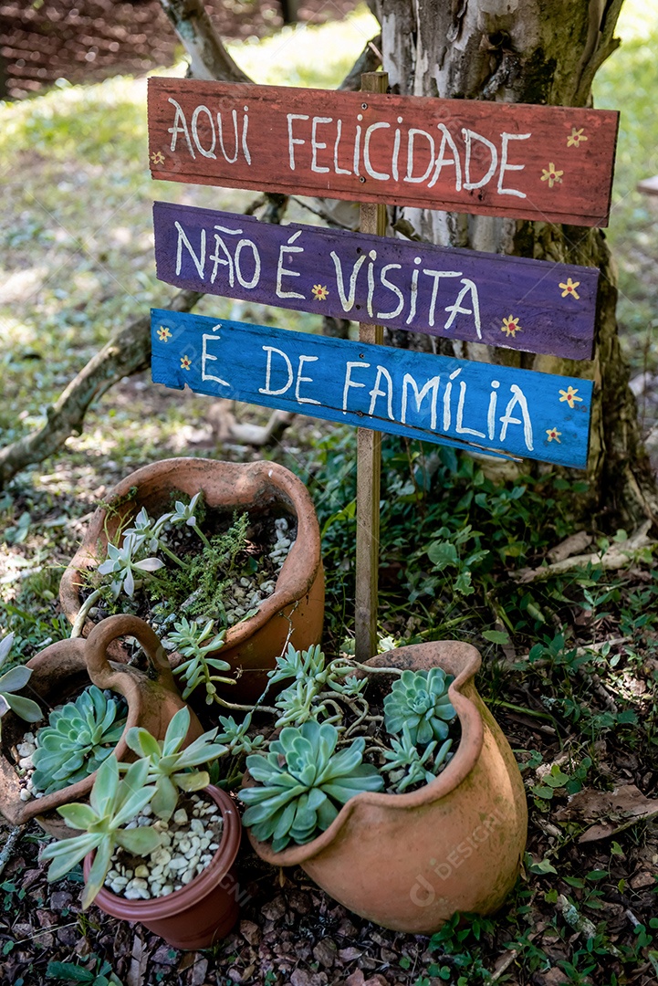 Jardim com plantas suculentas e vasos de barro