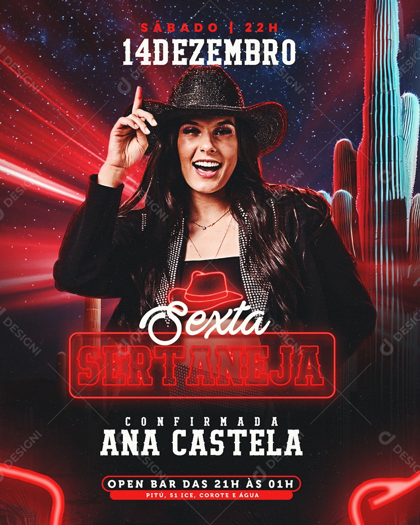 Flyer Agenda Show Ana Castela Social Media PSD Editável