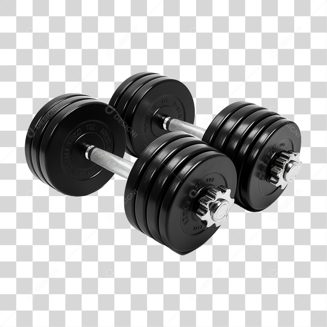 Pesos de Academia PNG Transparente