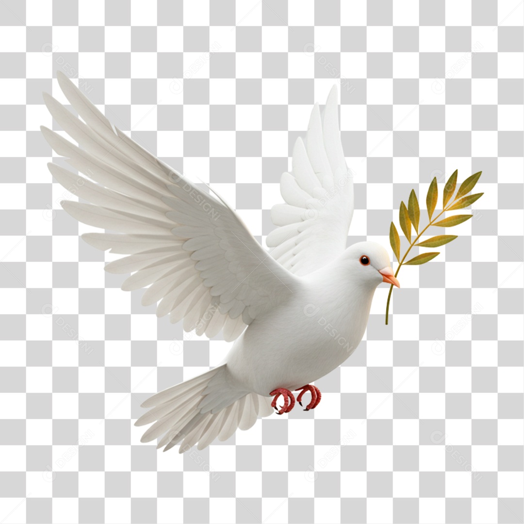 Pomba Paz com Ramo Folha PNG Transparente