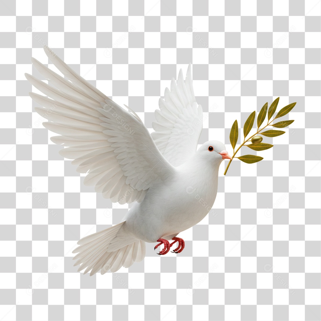 Pomba da Paz com Ramo de Folha PNG Transparente